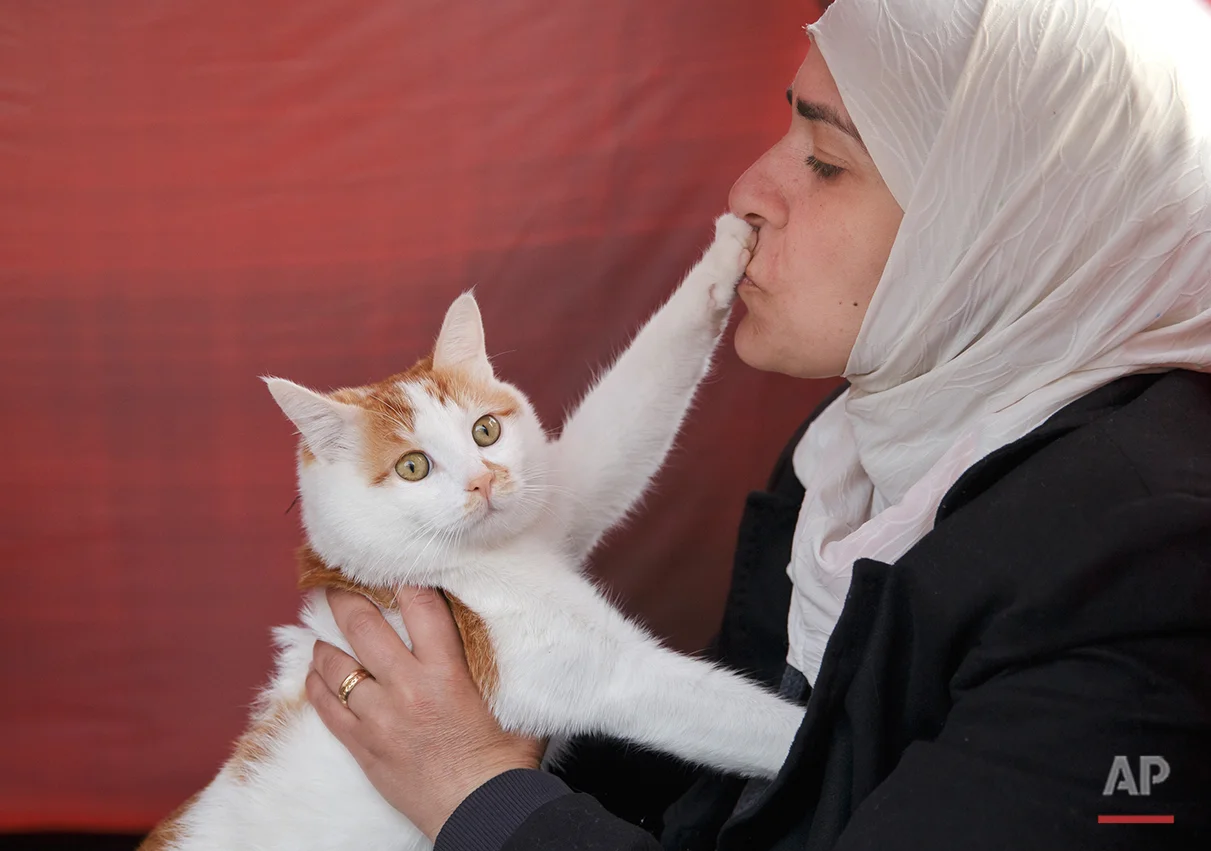A Syrian migrant woman kisses the paw of Tabush, a male cat that made the trip from Syria to Greece with its owners at the northern Greek border station of Idomeni, Saturday, March 5, 2016. The regional governor of the Greek region of Central Macedonia called on the Greek government Saturday to declare a state of emergency for the area surrounding the Idomeni border crossing saying that up to 14,000 people are trapped in Idomeni, while another 6,000-7,000 are being housed in refugee camps around the region, meaning the area was handling about 60 percent of the total number in the country. (AP Photo/Vadim Ghirda)