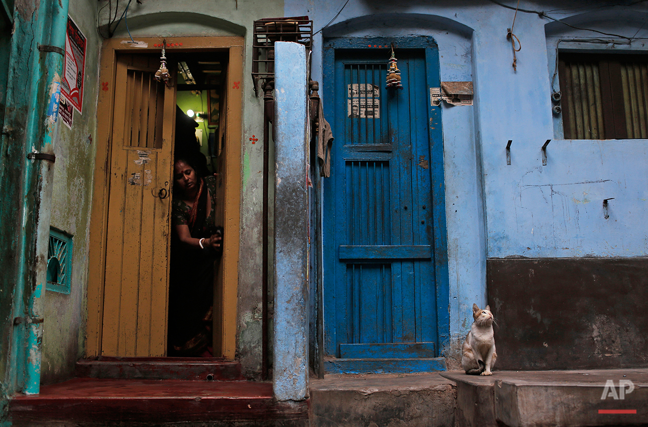  A Bangladeshi woman cleans the doorway to her home as a cat sits nearby early in the morning in Dhaka, Bangladesh, Thursday, Jan. 21, 2016. (AP Photo/A.M. Ahad) 