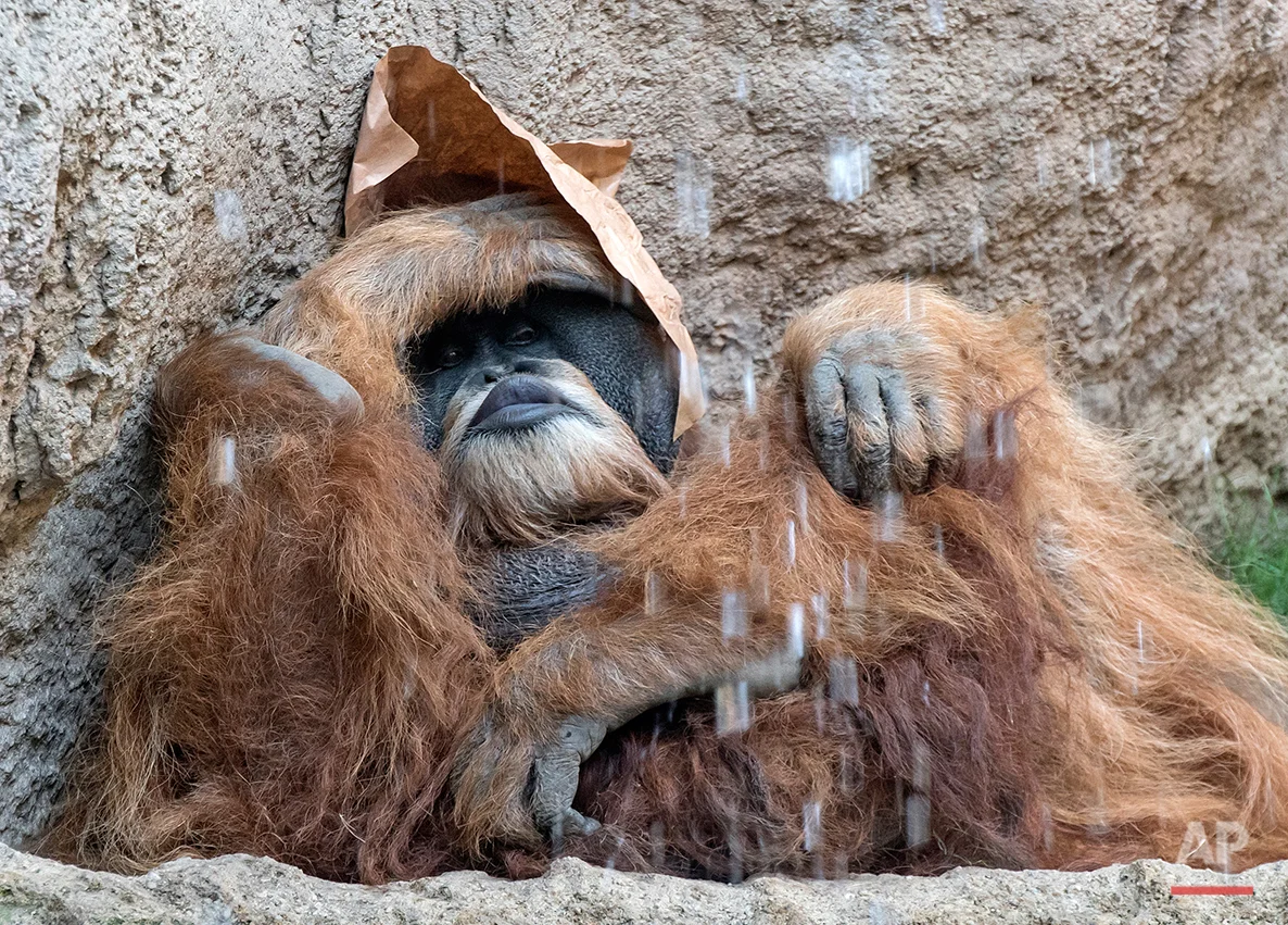 Germany Zoo