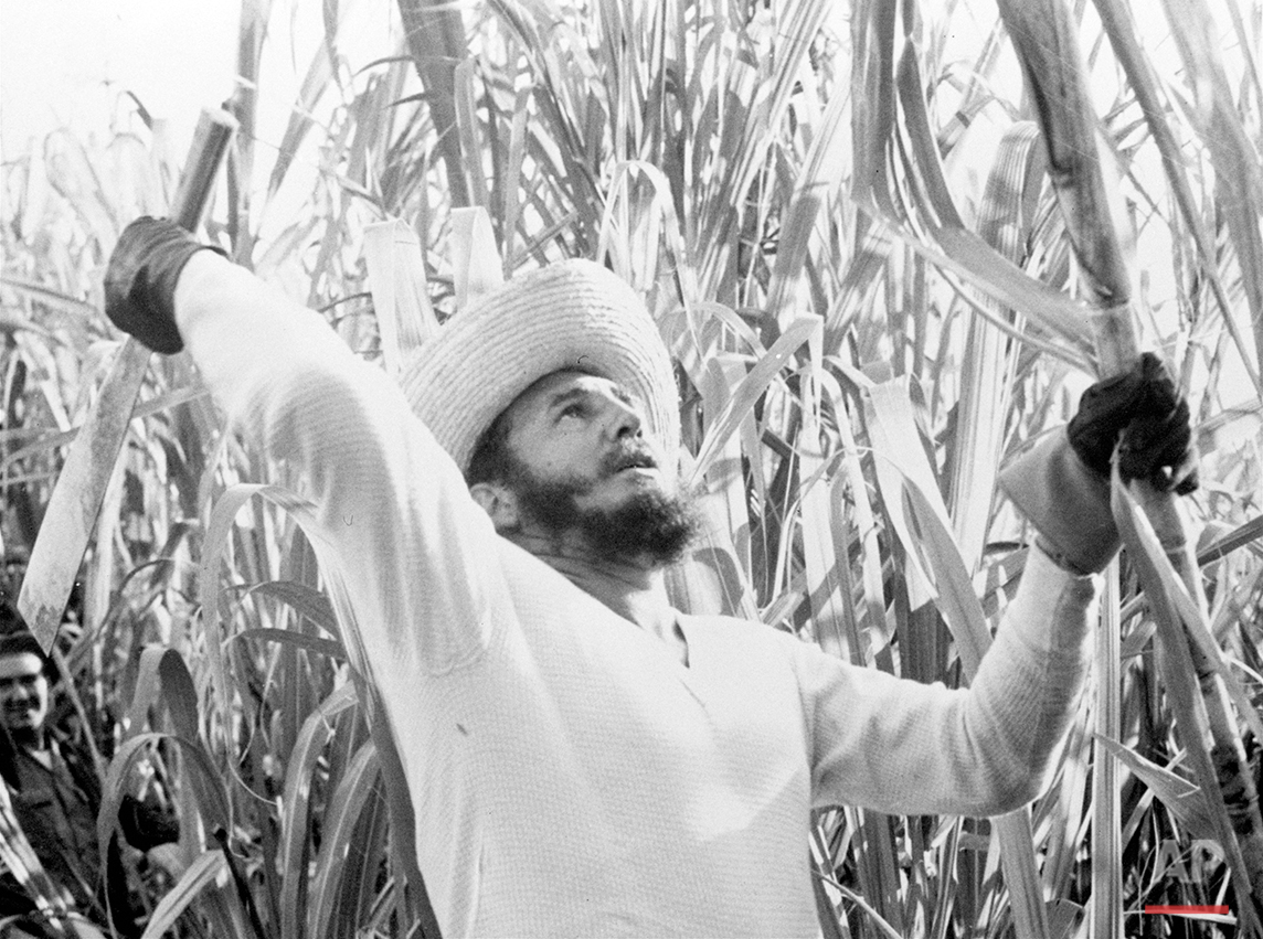  In this Feb. 13, 1961 photo, Prime Minister Fidel Castro went cane cutting with thousands of other volunteer workers, and official announcements said he sliced off over 9,000 pounds of cane. As Fidel Castro turn 90 on Aug. 13, 2016, many Cubans open