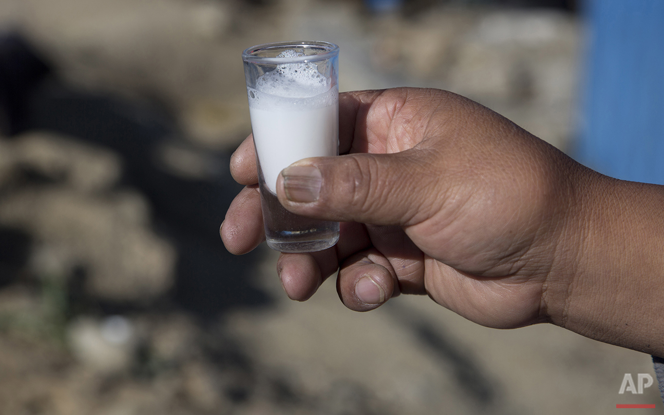  In this May 12, 2016 photo, an Aymara indigenous woman holds a small glass of fresh donkey milk before drinking it in El Alto, Bolivia. Elizabth Canipa, director of the maternal milk program with Bolivia's‚ Health Ministry, said there is no scientif