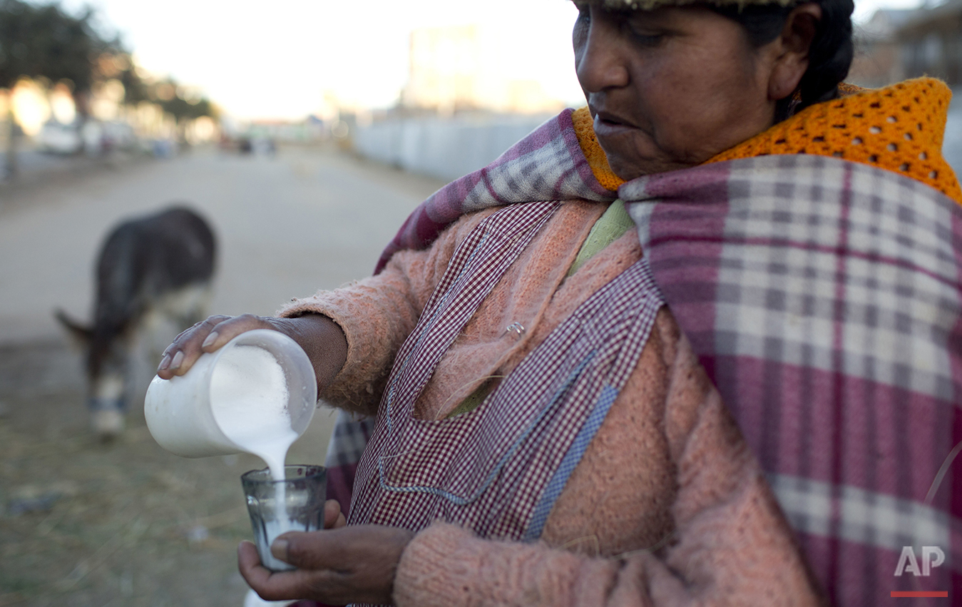  In this May 24, 2016 photo, donkey milk vendor Andrea Aruquipa, an Aymara indigenous woman, pours a glass of milk from her donkey for a client in El Alto, Bolivia. "You have to drink donkey milk with faith and you have to believe," Arequipa said. "I