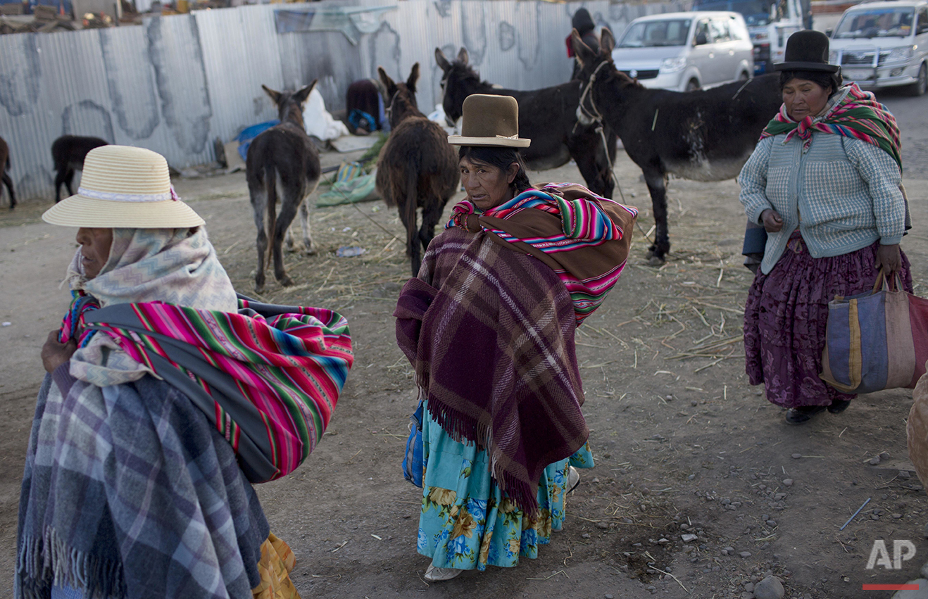  In this May 24, 2016 photo, Aymara indigenous women walk past donkeys that are used for their milk in El Alto, Bolivia. People drink a glass of fresh donkey milk, believing it will fight respiratory problems during the raw winter of the Bolivian And