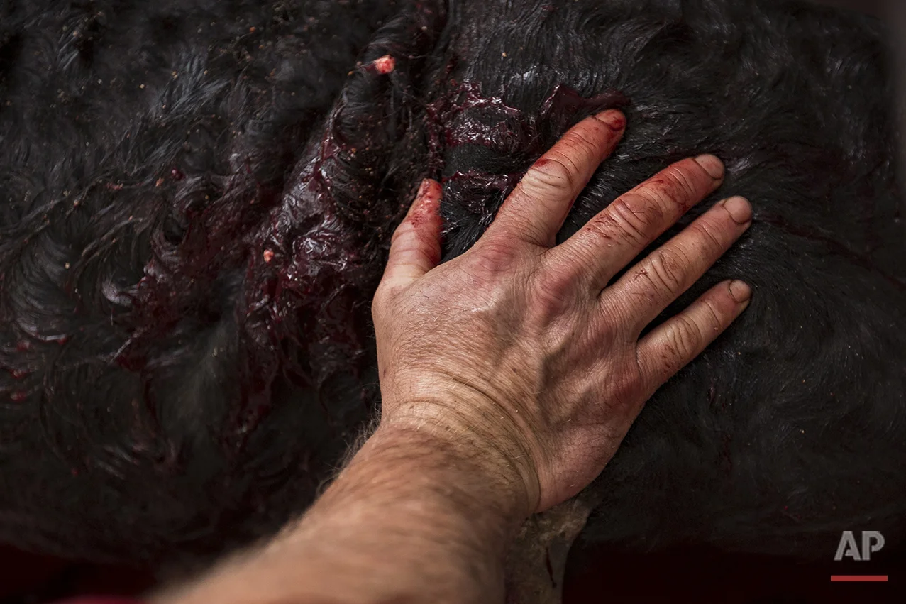 Spain Running of the Bulls