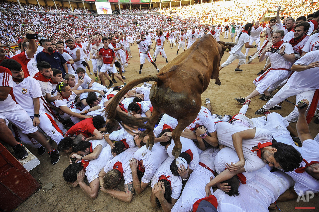  A cow jumps over revelers during a cow festival at the end of the second running of the bulls at the San Fermin Festival in Pamplona, northern Spain, Friday, July 8, 2016. (AP Photo/Alvaro Barrientos) 