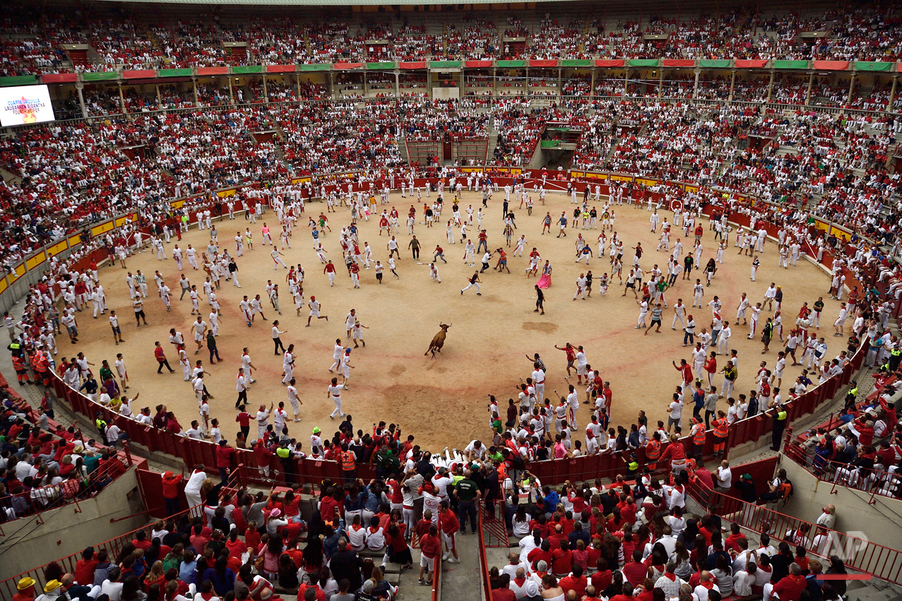 Spain Running of the Bulls