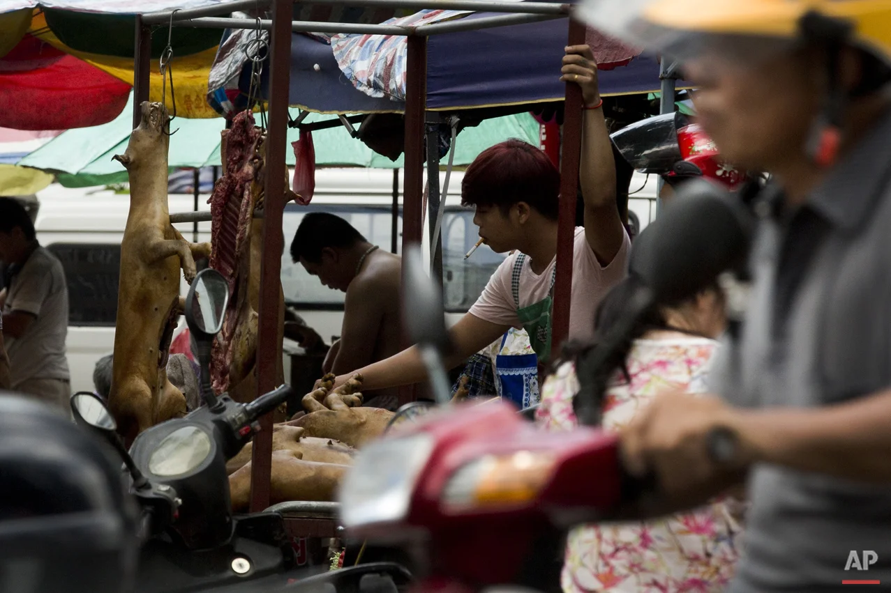 Dog Meat Festival
