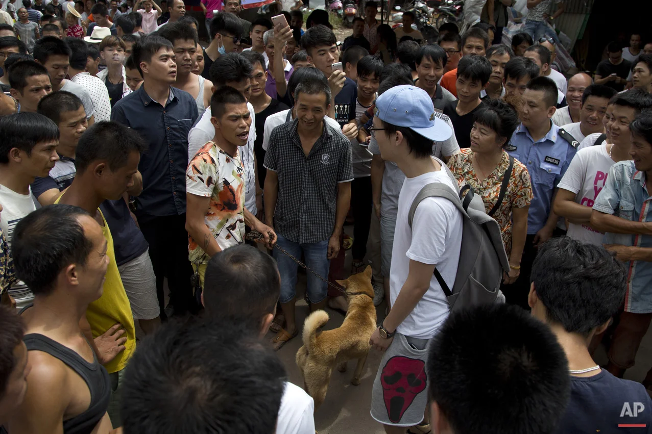 Dog Meat Festival
