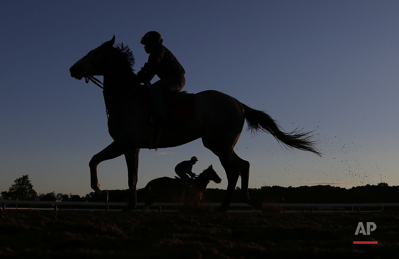 Belmont Stakes Horse Racing