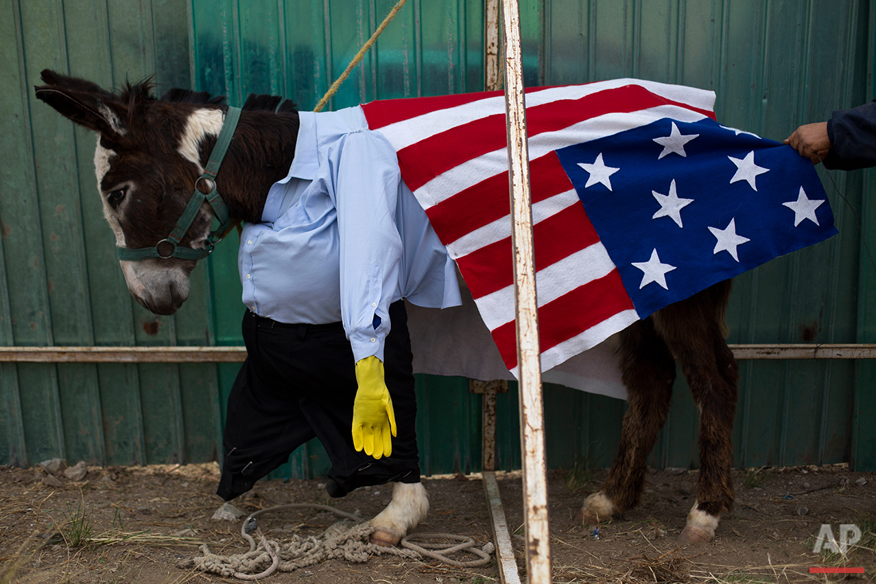 Mexico Donkey Fair Photo Gallery