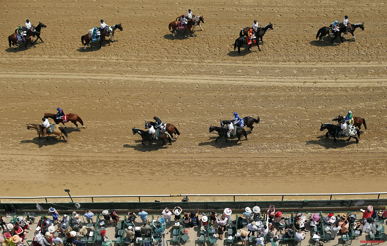 Horses are paraded in a race before the 141st running of the Kentucky Derby horse race at Churchill Downs, Saturday, May 2, 2015, in Louisville, Ky. (AP Photo/Charlie Riedel)