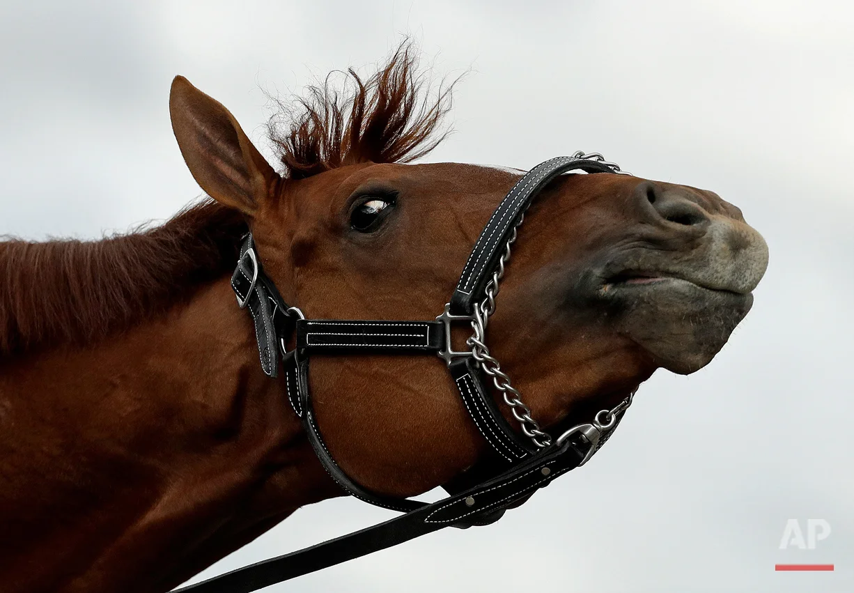 Kentucky Derby Horse Racing