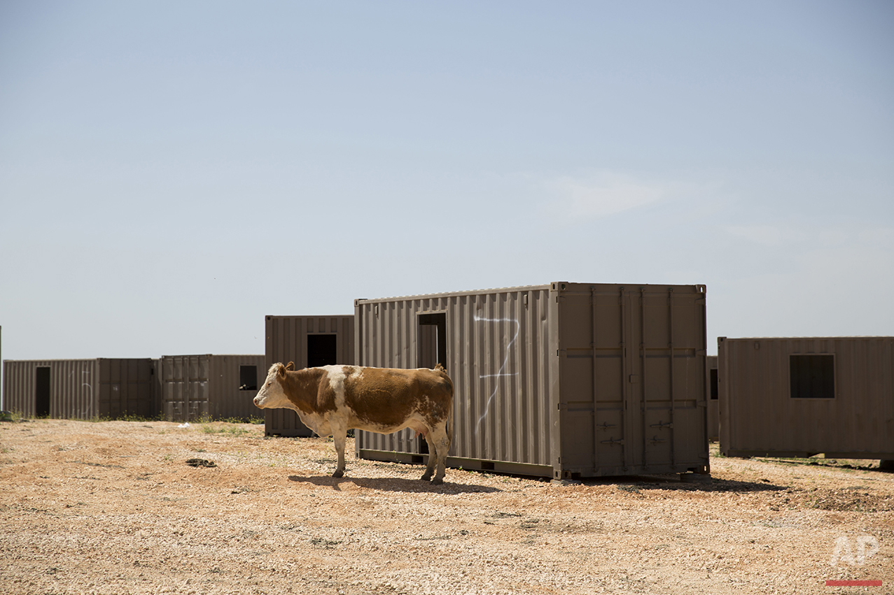 APTOPIX Mideast Israel Golan Cowboys