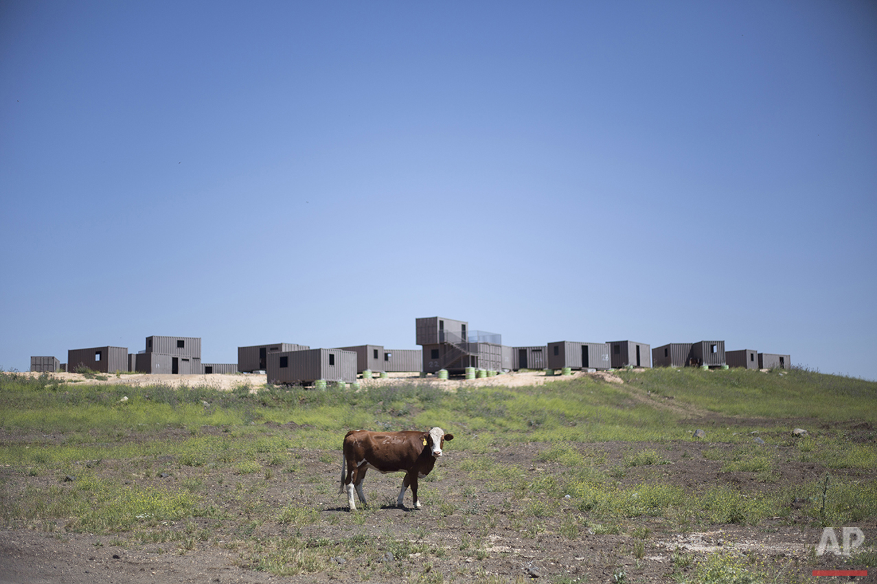 Mideast Israel Golan Cowboys