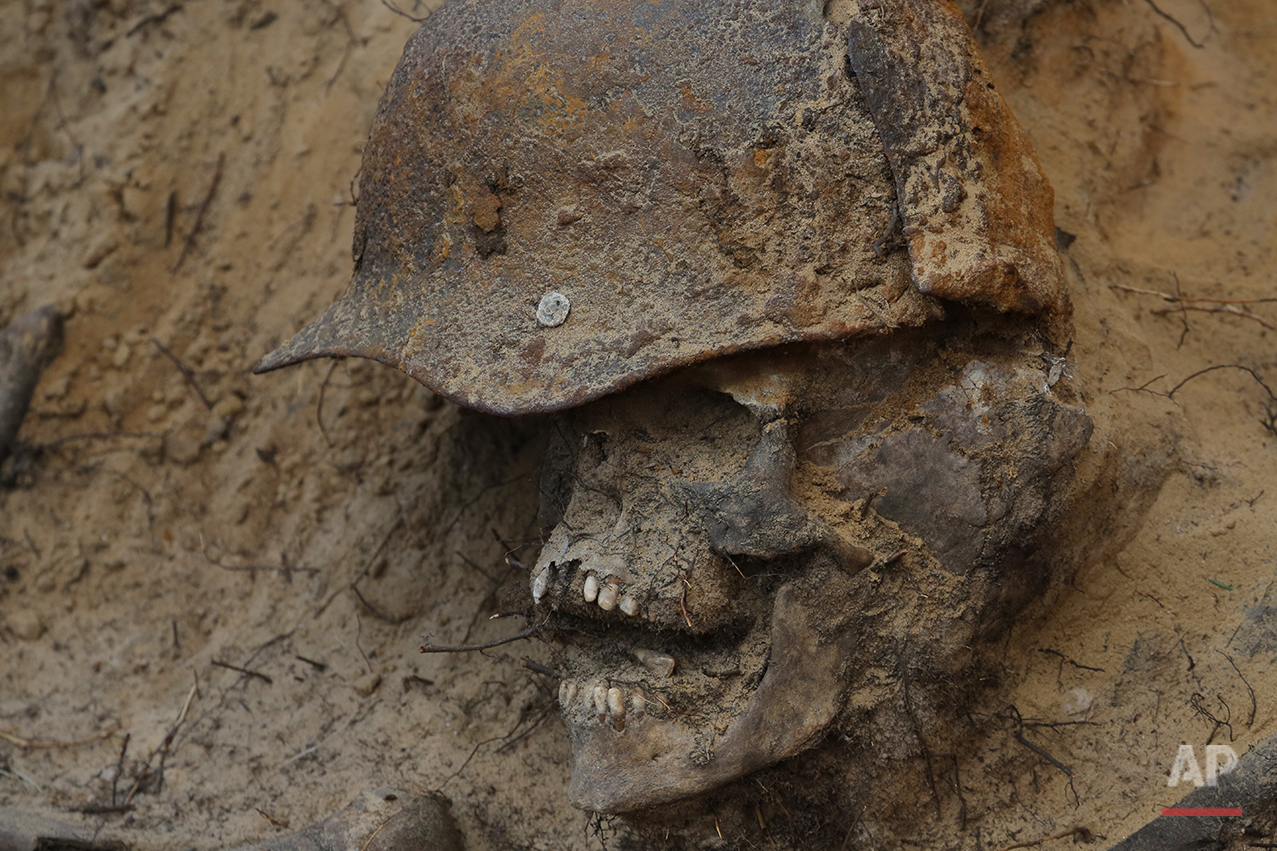  In this photo taken on Tuesday, Aug.  18, 2015, remains of a Soviet soldier are uncovered in a buria site l made in 1943, to be reburied in an official cemetery, near Sinyavino, 50 kms (31 miles) east of  St. Petersburg, Russia. Volunteer search gro