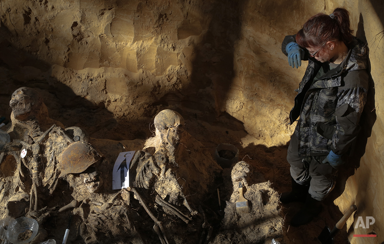  In this photo taken on Tuesday, Aug.  18, 2015, a member of a volunteer group searching for the remains of Soviet soldiers killed during WWII, looks at remains of Soviet soldiers uncovered in a  burial site made in 1943, to be reburied in an officia