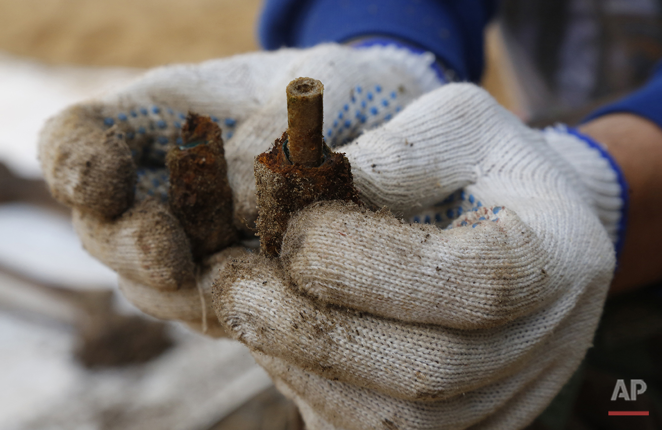  In this photo taken on Tuesday, Aug.  18, 2015, a member of a volunteer group searching for the remains of Soviet soldiers killed during WWII, holds a dog tag found among uncovered remains near Sinyavino, 50 kms (31 miles) east of  St. Petersburg, R