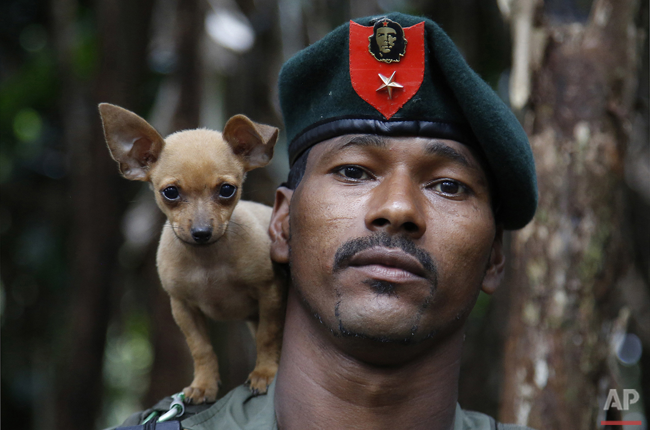  In this Aug. 11, 2016 photo, a rebel soldier of the 48th Front of the Revolutionary Armed Forces of Colombia, or FARC, poses for a photo with his dog in the southern jungles of Putumayo, Colombia. As the country's half-century conflict winds down, w