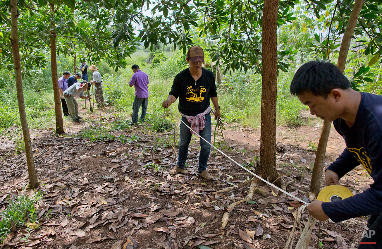  In this Thursday, Aug. 18, 2016 photo, researchers of the Thai Department of National Parks measure a boundary of a small farm to install a perimeter of bee hives to prevent wild elephants from intruding on properties in Pana, southeastern province 