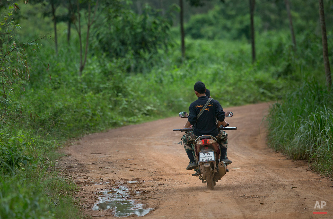  In this Thursday, Aug 18, 2016 photo park rangers tracking a herd of wild elephants travel in a motorbike in Pana, southeastern province of Chanthaburi, Thailand. The increase in human population has led to excessive use of forest for agriculture. T