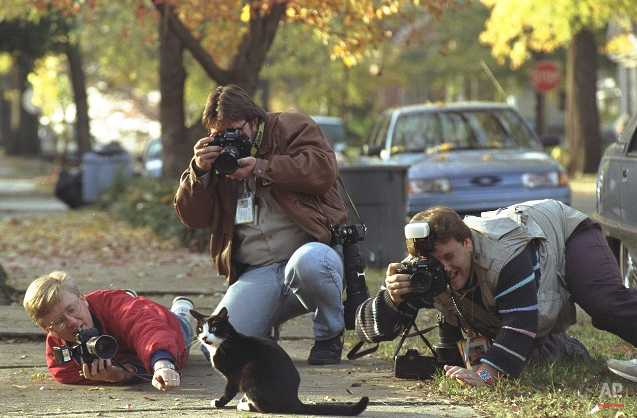 Chelsea Clinton's cat "Socks" gets the attention of photographers on the sidewalk outside the fenced Arkansas Governor's Mansion in Little Rock Tuesday. "Socks" strolled about a two block area with photographers in tow. President-elect Clinton is working on his transition and preparing for a trip to Washington and a meeting with President Bush. (AP Photo/Greg Gibson)