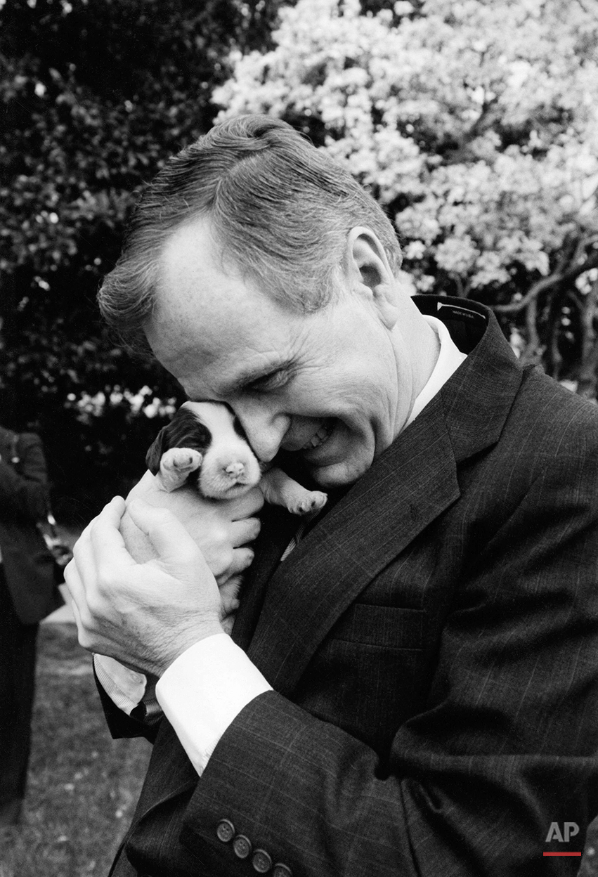 President George H.W. Bush holds one of first dog Millie's six puppies for the press on Wednesday, March 29, 1989 at the White House in Washington. Mother dog Millie gave birth March 27, 1989 with First Lady Barbara Bush serving as midwife according to spokeswomen. (AP Photo/Ron Edmonds)