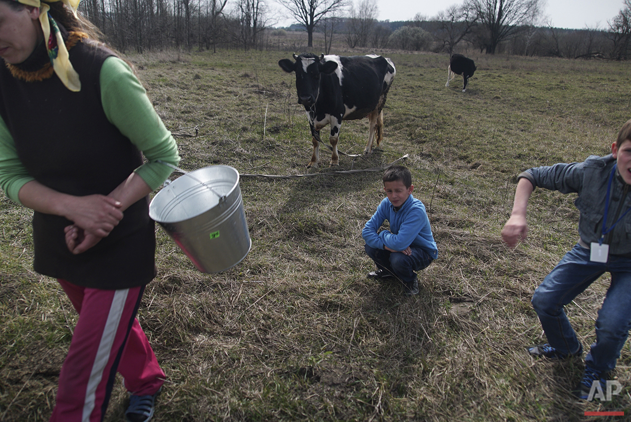  In this photo taken on Tuesday, April  5, 2016, Viktoria Vetrova, with her children, Bogdan, center, and Kolya, right, goes home after milking a cow in Zalyshany, 53 km (32 miles) southwest of the destroyed reactor of the Chernobyl plant, Ukraine. V