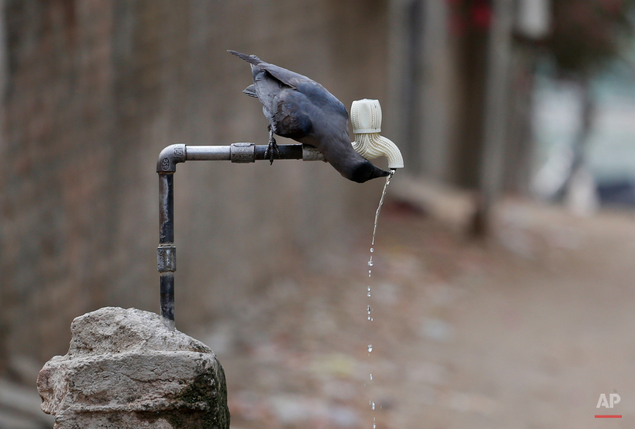 India Hot Weather