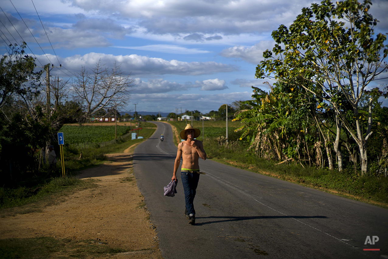  In this Feb. 26, 2016 photo, a tobacco farm worker walks home after his workday in the province of Pinar del Rio, Cuba. Workers say they’re eager to see more benefits of Cuba’s increasing links to the outside world since the start of new relations w
