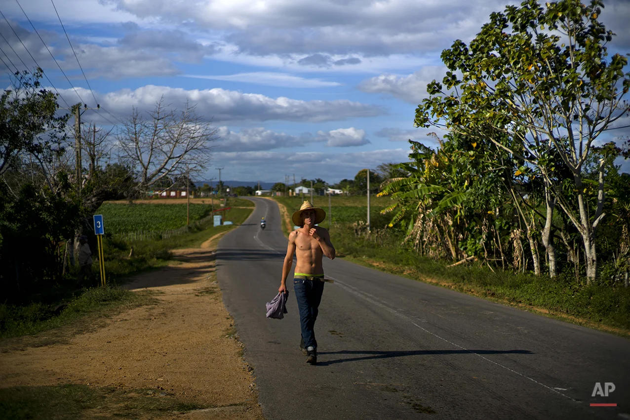  In this Feb. 26, 2016 photo, a tobacco farm worker walks home after his workday in the province of Pinar del Rio, Cuba. Workers say they’re eager to see more benefits of Cuba’s increasing links to the outside world since the start of new relations w