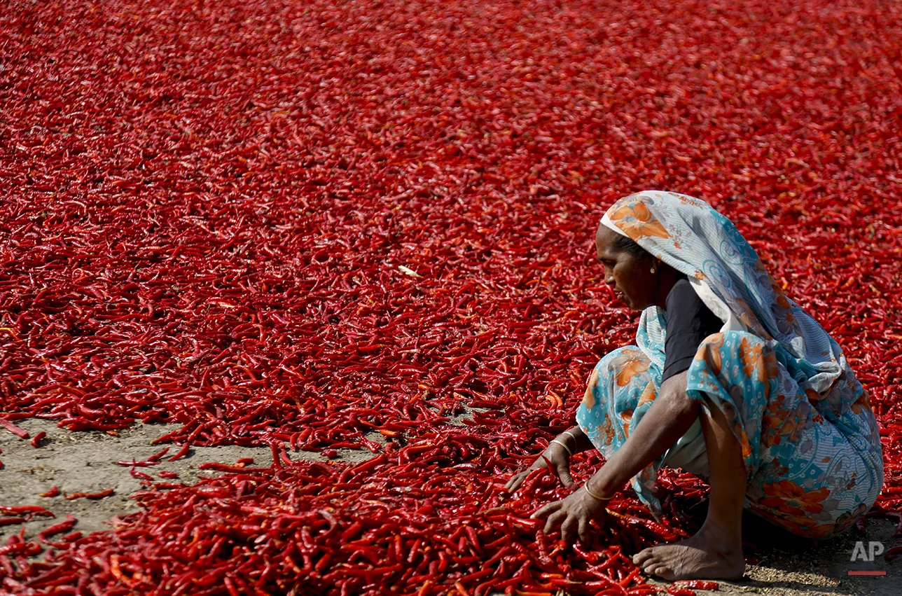 India Daily Life