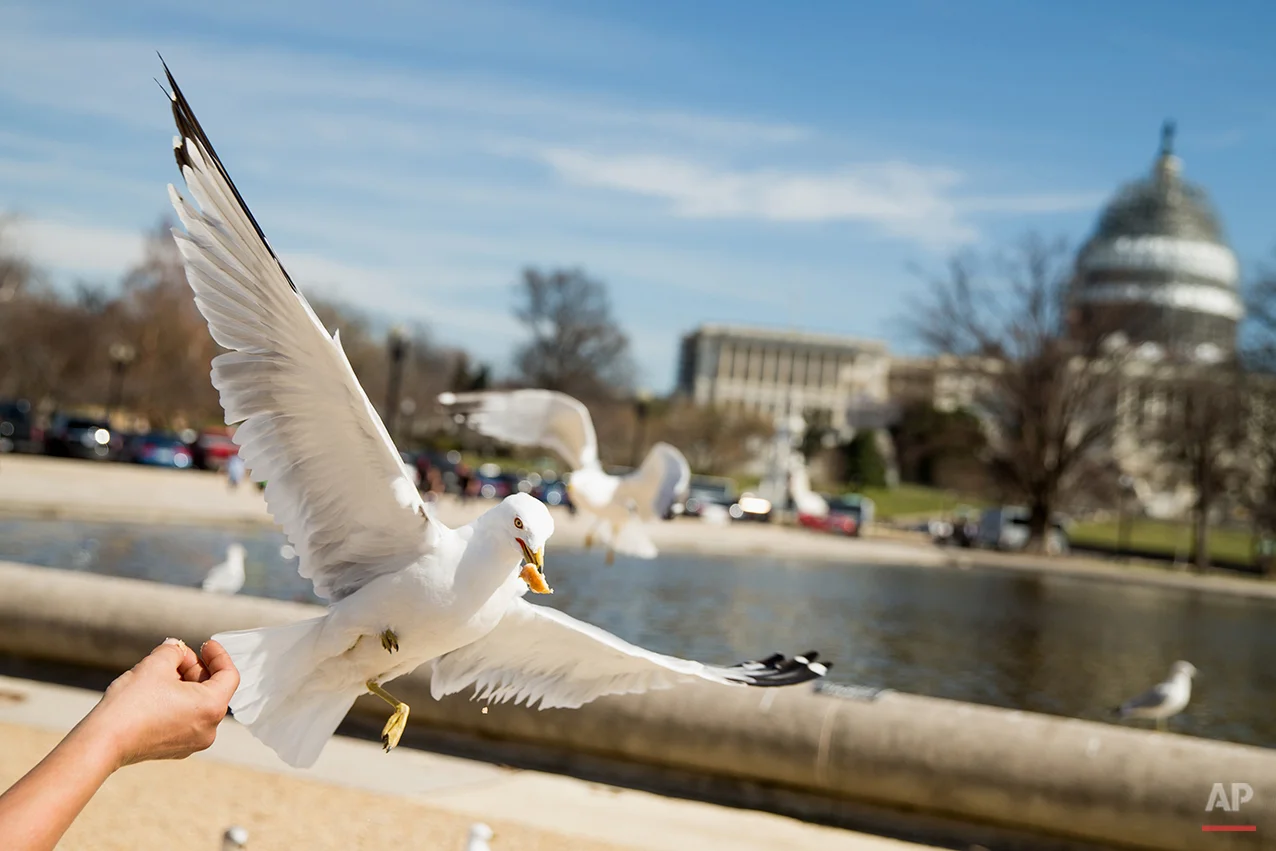 Washington Daily Life
