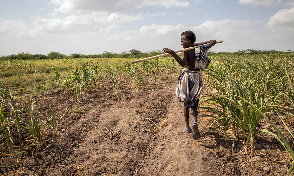 Pictures of the week