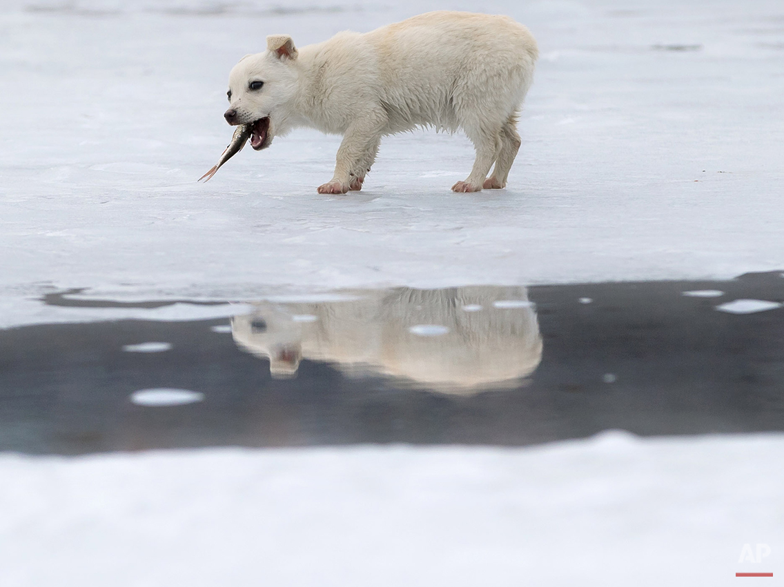 Pictures Of The Week Photo Gallery