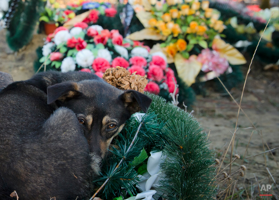 Moldova Saint Lazarus Cemetery