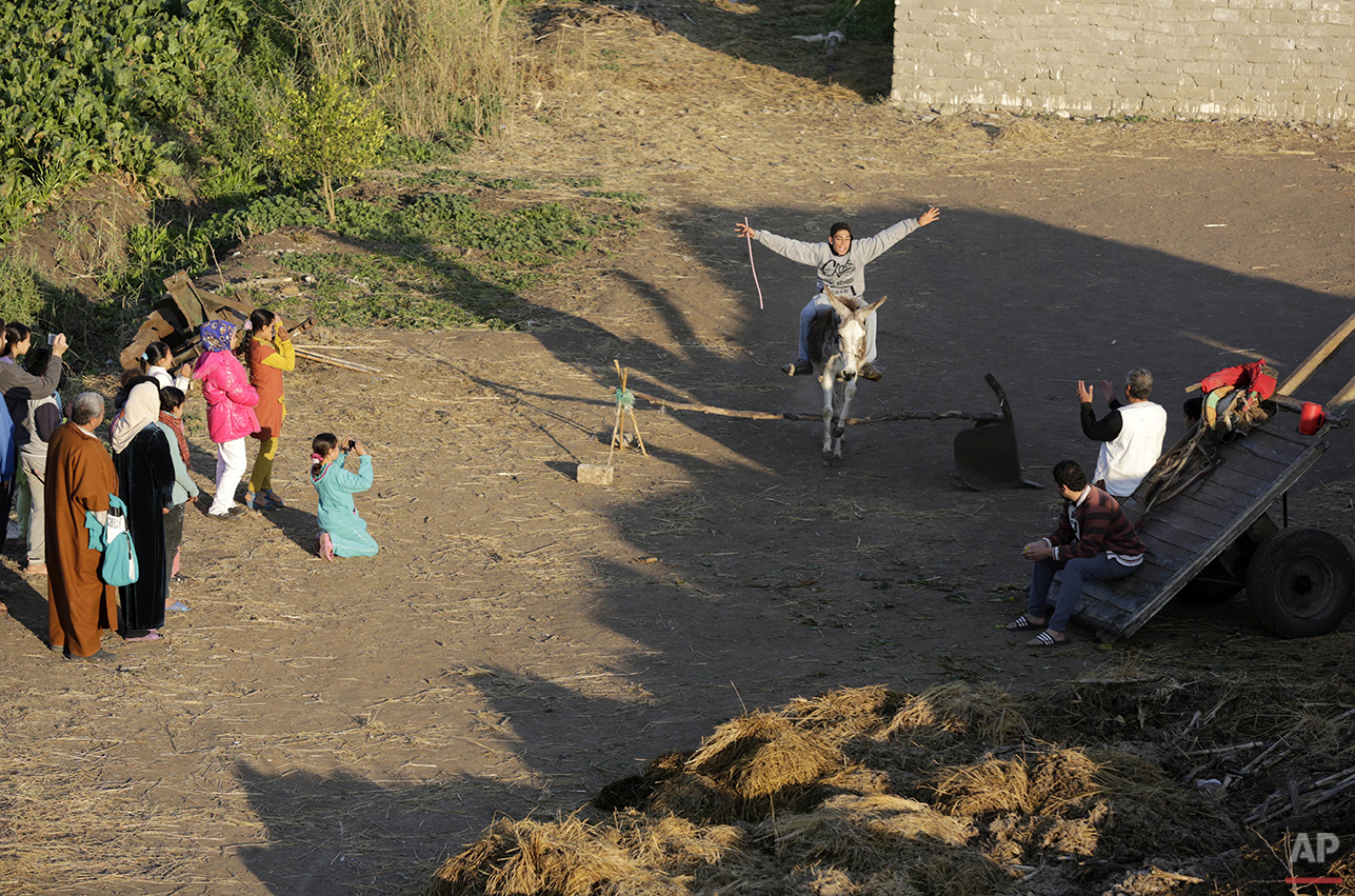 Mideast Egypt Jumping Donkey Photo Gallery