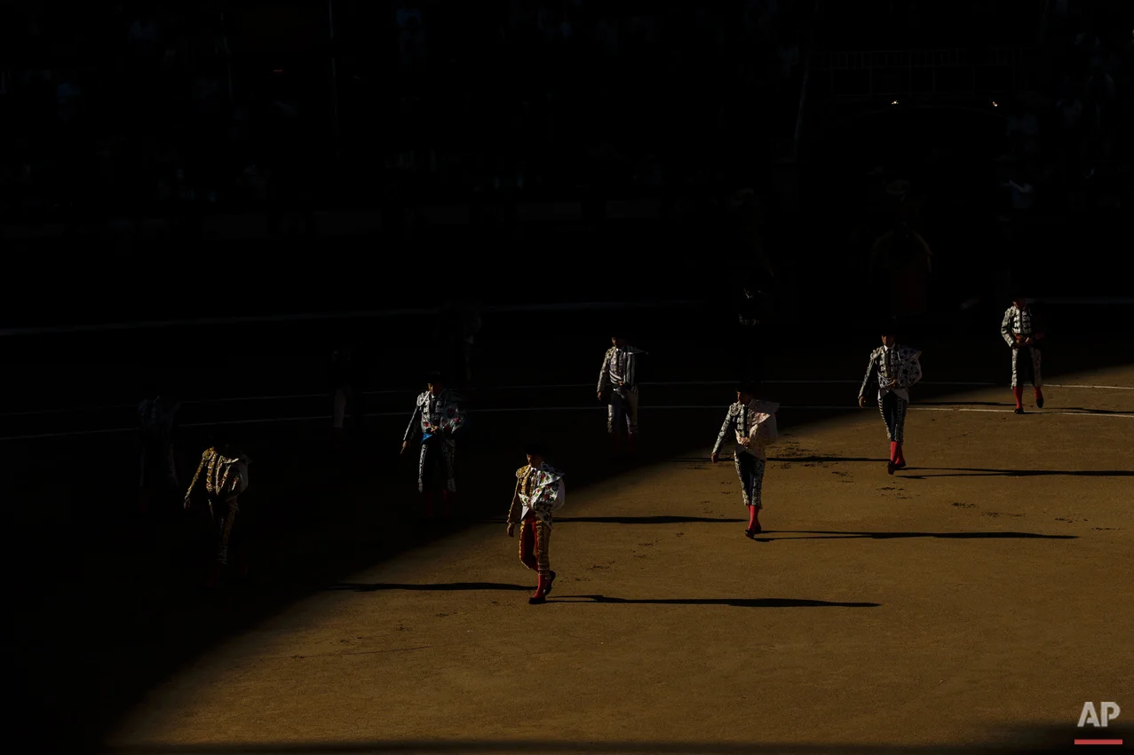 The Bullfight