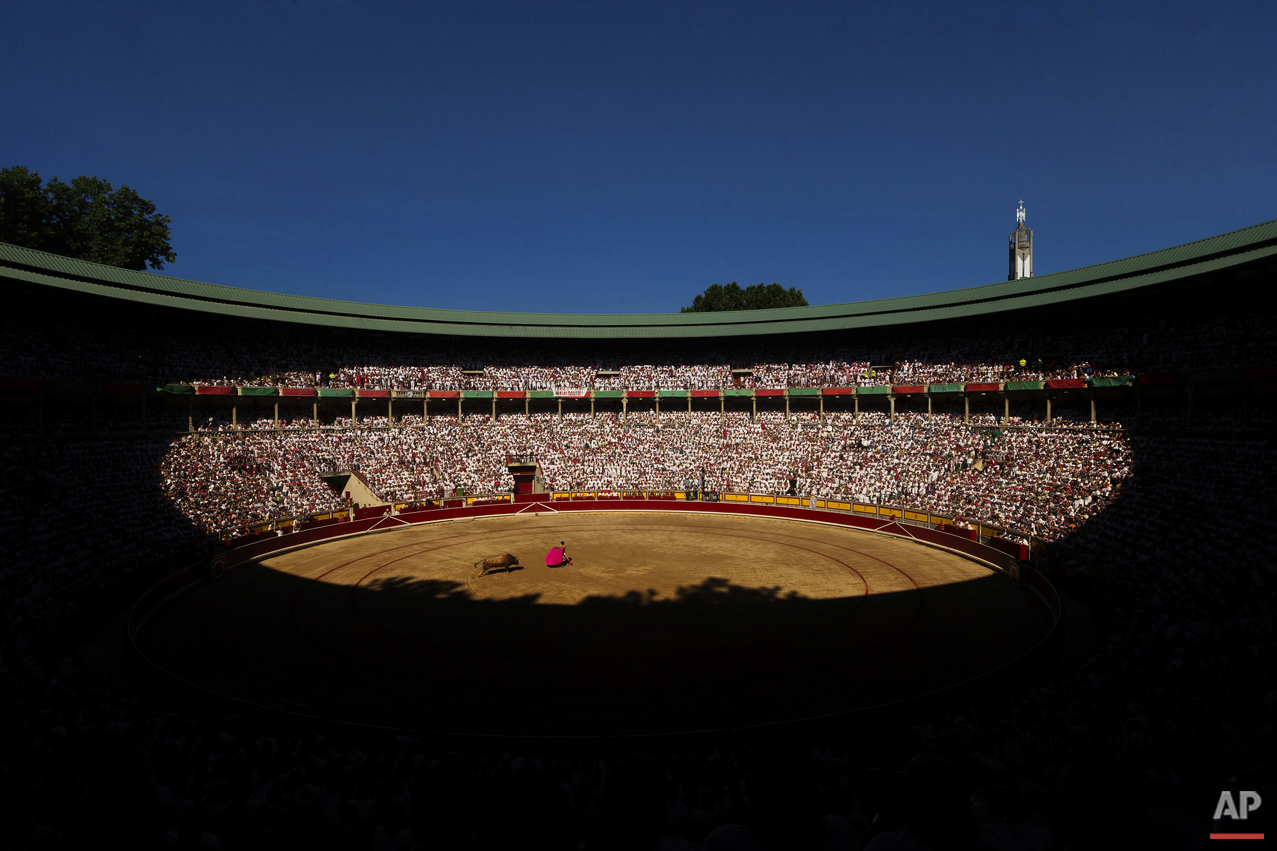 The Bullfight