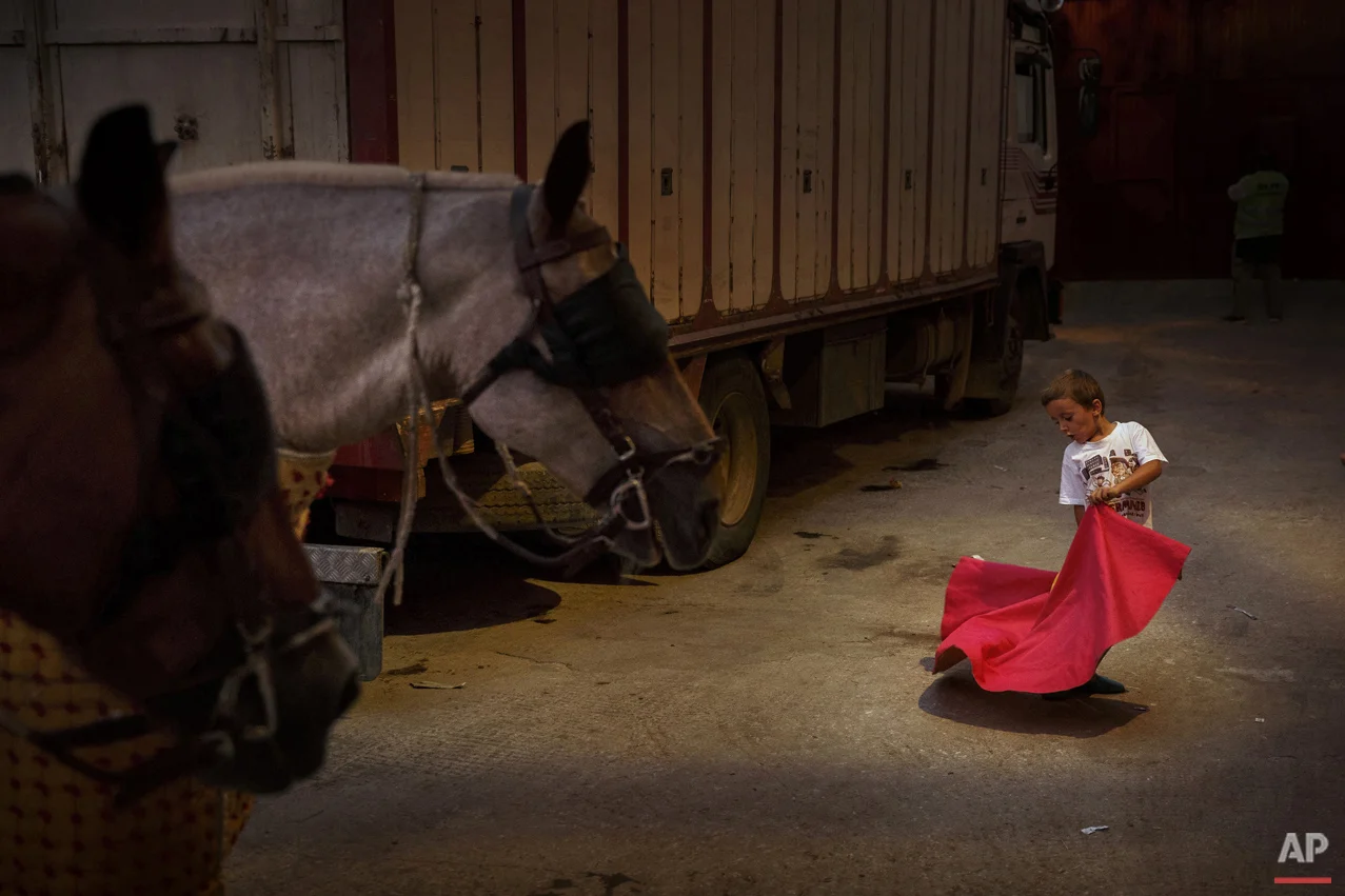 The Bullfight