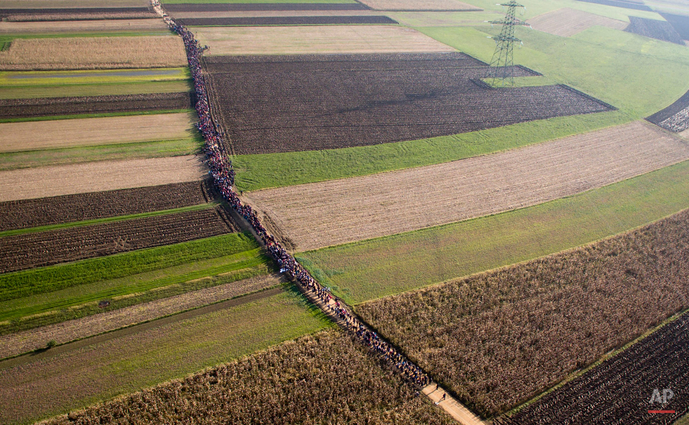  In this aerial photo, a column of migrants moves through fields after crossing from Croatia, in Rigonce, Slovenia, Sunday, Oct. 25, 2015. Thousands of people are trying to reach central and northern Europe via the Balkans, but often have to wait for