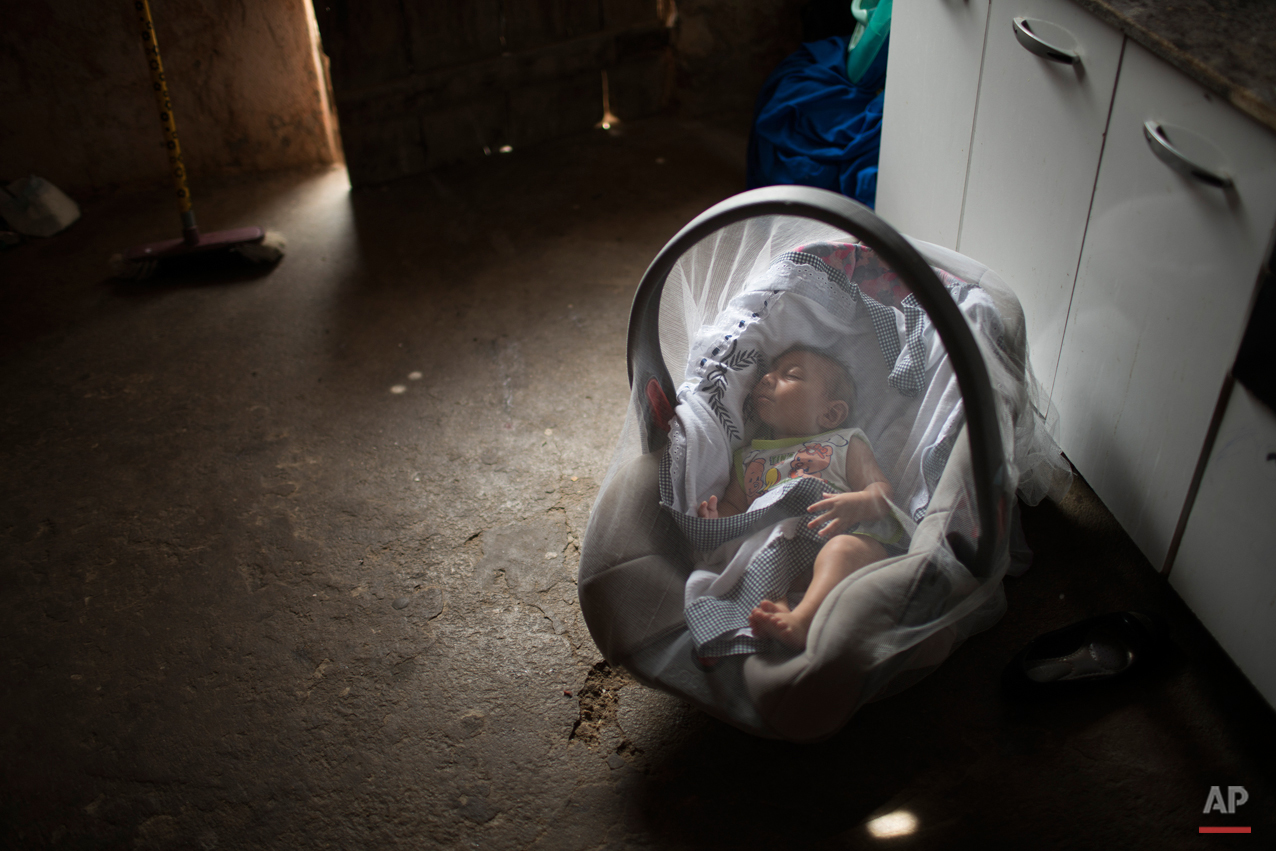  In this Dec. 23, 2015 photo, Jose Wesley sleeps covered by a mosquito net in Poco Fundo, Pernambuco state, Brazil. Jose Wesleyís mother Solange Ferreira had never heard of microcephaly before her youngest son was diagnosed a couple of days after his