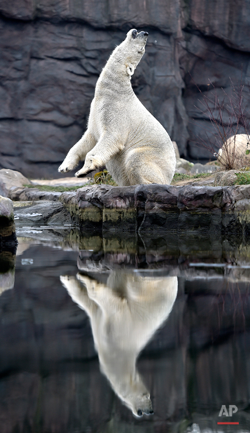 Germany Weather Zoo