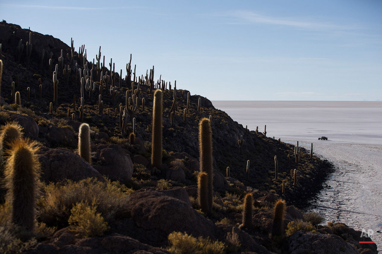 In this Jan. 11, 2015, photo, a competitor races past Cactus Island along the Uyuni salt flats during the eighth stage of the Dakar Rally 2015 between Uyuni, Bolivia, and Iquique, Chile. The race will finish on Jan. 17, passing through Bolivia and Chile before returning to Argentina where it started. (AP Photo/Felipe Dana)