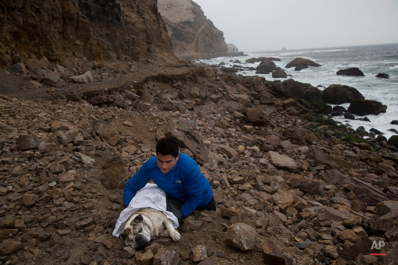 In this Oct. 15, 2015, photo, Jonatan Jimenez carries his dead dog Roco, for the sea to take his body away in La Herradura beach in Chorrillos, Lima Peru. According to Jimenez he used to always walk on the beach with Roco, so he wanted it to be his final resting place. (AP Photo/Rodrigo Abd)