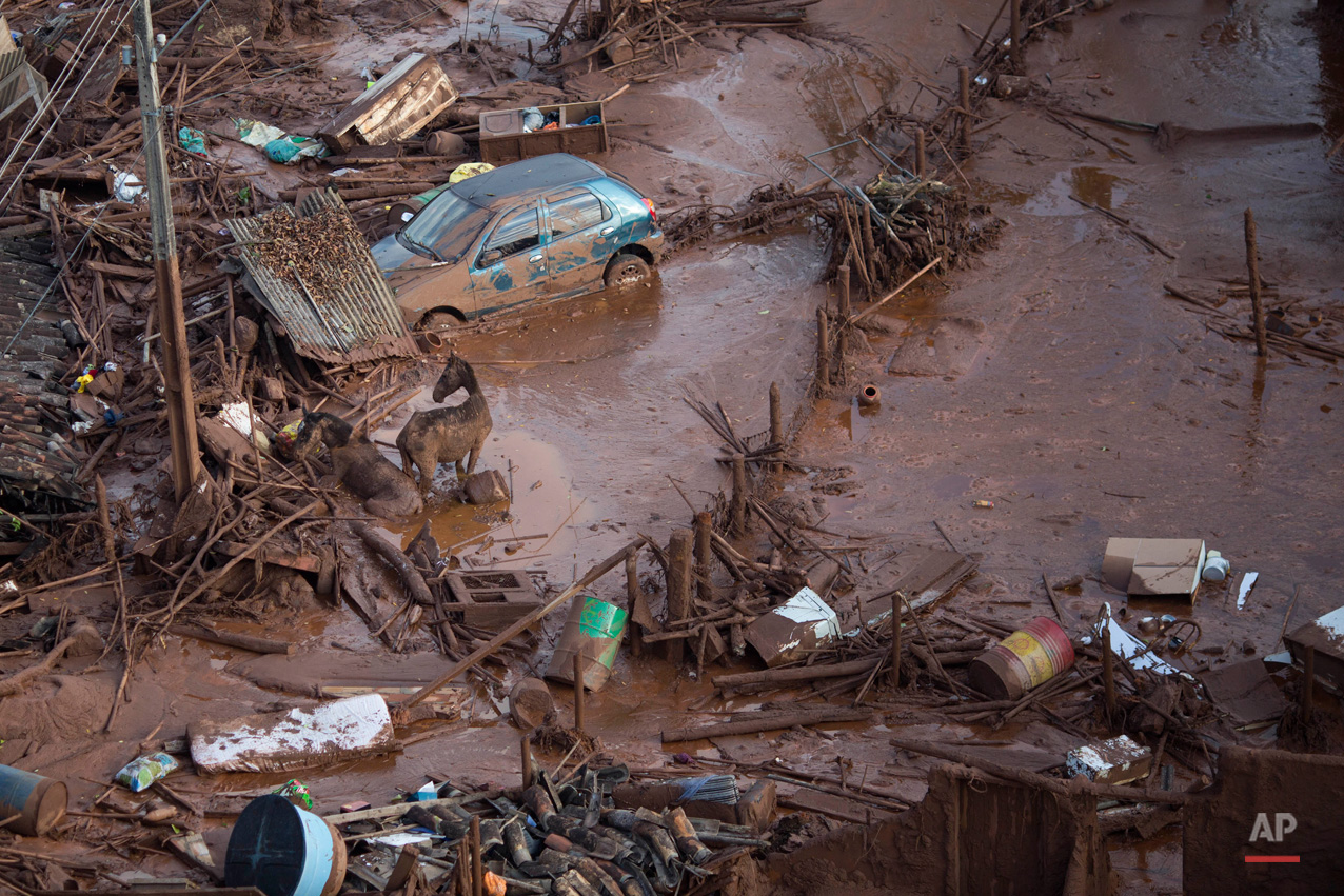 In this Nov. 6, 2015, photo, horses struggles in the mud at the small town of Bento Rodrigues after a dam burst in Minas Gerais state, Brazil. Brazilian rescuers searched feverishly Friday for possible survivors after two dams burst at an iron ore mine in a southeastern mountainous area. (AP Photo/Felipe Dana)