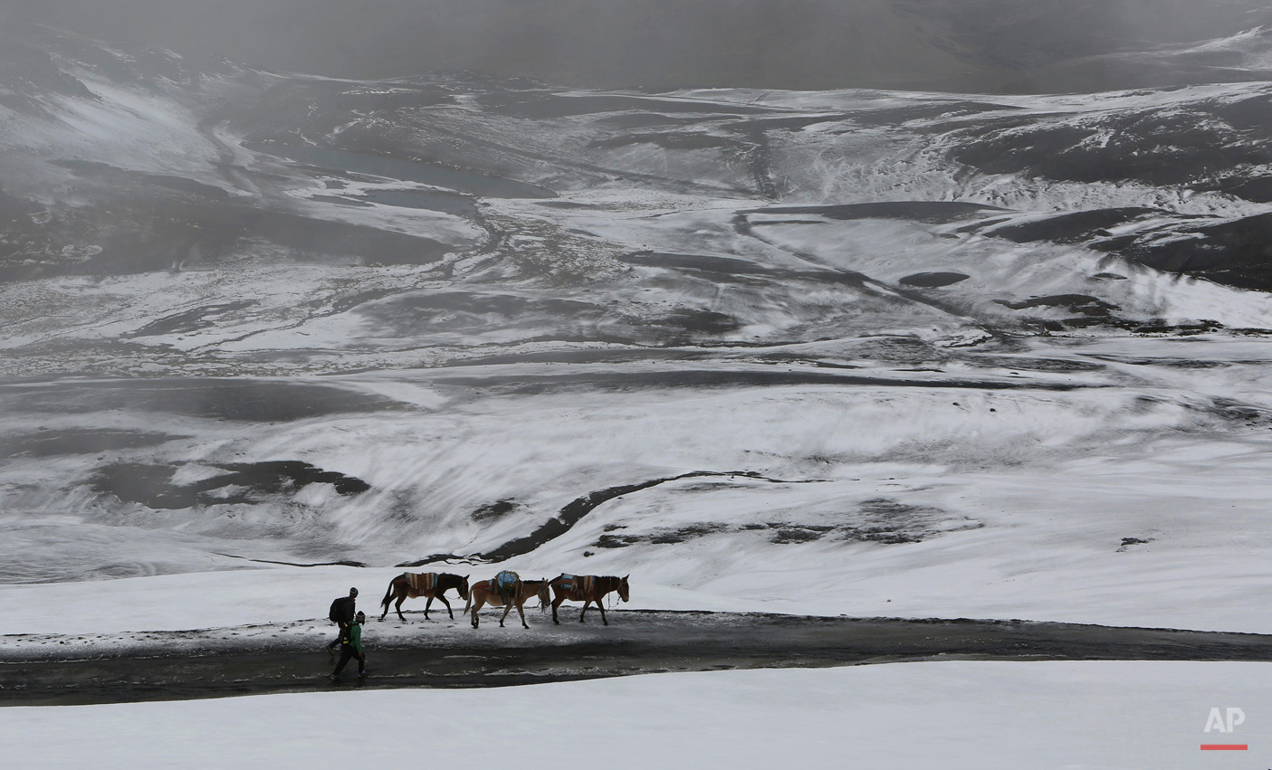 In this March 14, 2015, photo, farmers walk with their donkeys on a snow covered road in La Cumbre mountain on the outskirts of La Paz, Bolivia. (AP Photo/Juan Karita)
