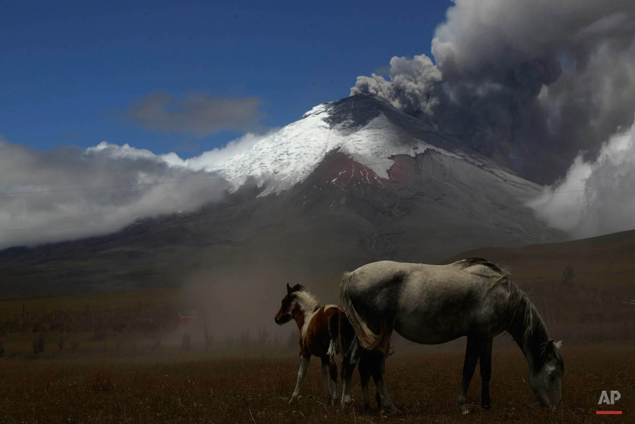 In this Sept. 3, 2015, photo, the Cotopaxi volcano spews ash and vapor, as seen from El Pedregal, Ecuador. Cotopaxi began showing renewed activity in April and its last major eruption was in 1877. (AP Photo/Dolores Ochoa)