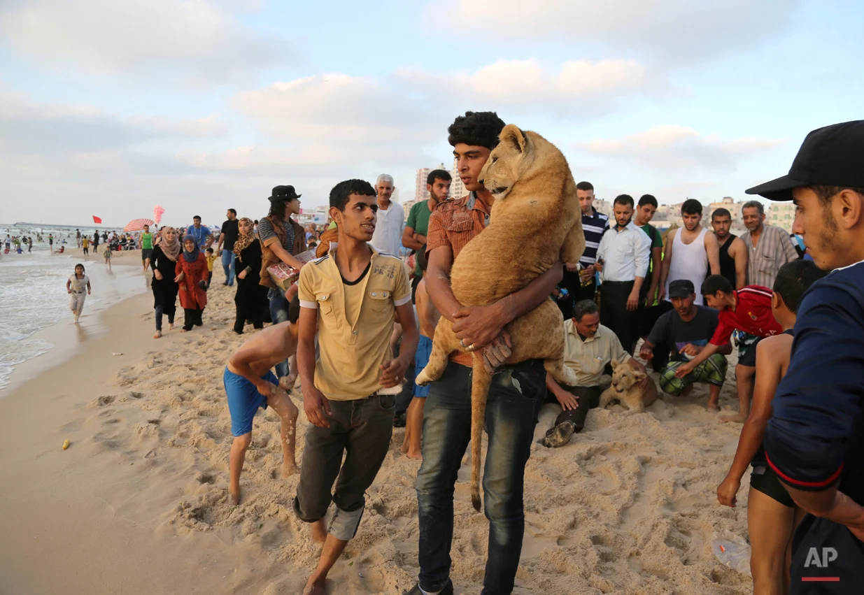 YE Mideast 2015 Photo Gallery