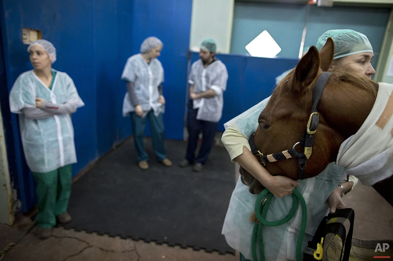 Mideast Israel Healing Horses Photo Essay