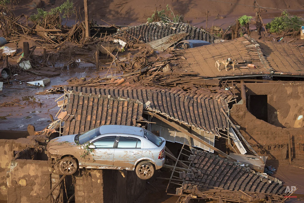  A car and two dogs are seen on the roof of destroyed houses at the small town of Bento Rodrigues after a dam burst on Thursday in Minas Gerais state, Brazil, Friday, Nov. 6, 2015. (AP Photo/Felipe Dana) 